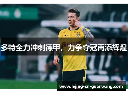 多特全力冲刺德甲，力争夺冠再添辉煌
