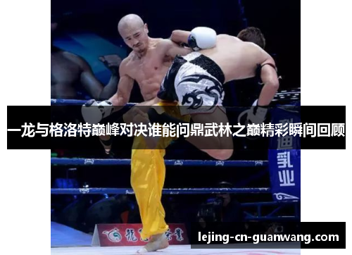 一龙与格洛特巅峰对决谁能问鼎武林之巅精彩瞬间回顾